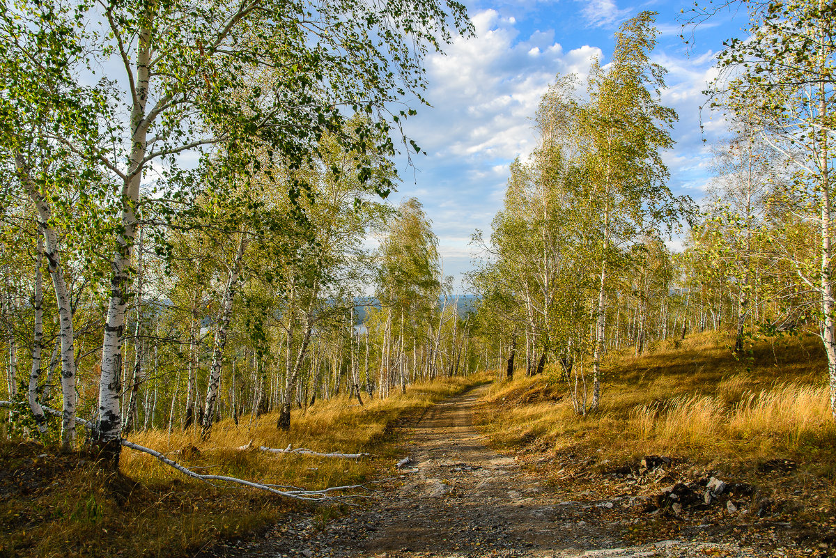 л - Александр К.