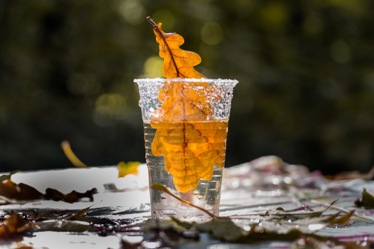 осень в стакане - Денис Антонов