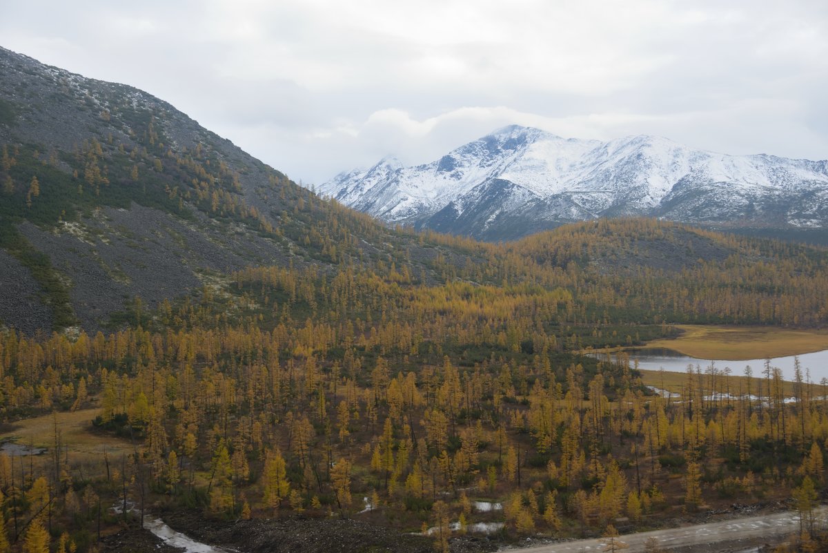 *** - Александр Хаецкий