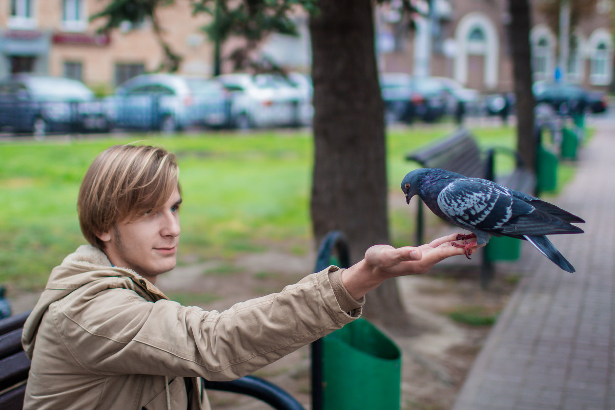 I am the master of urban birds - Евгений Улащик