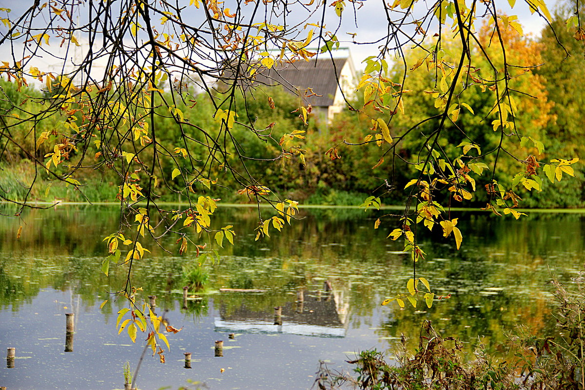 *** - marina-rosinka2 