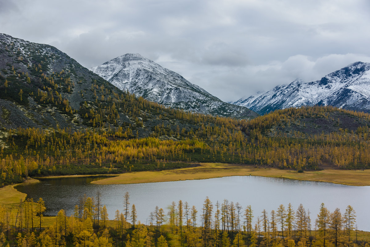 *** - Александр Хаецкий