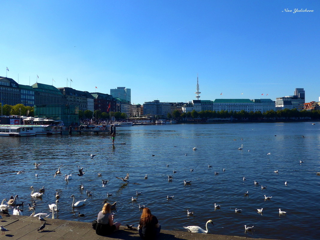 Alster. Hamburg - Nina Yudicheva