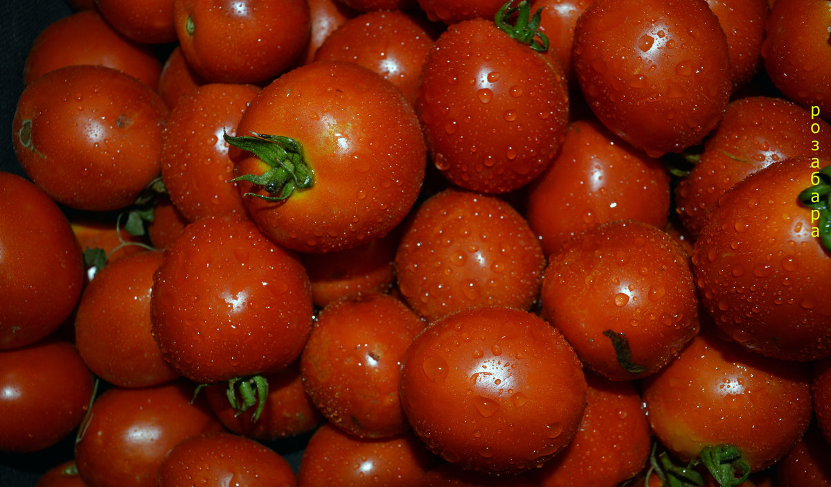 шарики помидорные - Ксения Забара