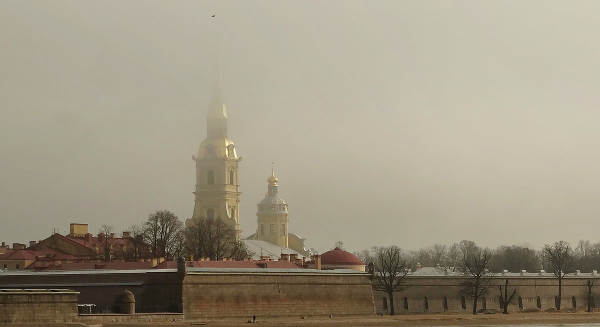 Стрелка Васильевского острова. - Владимир Гилясев