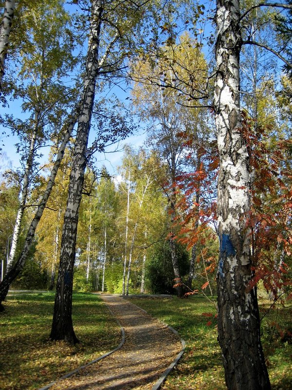 В ПАРКЕ - ОКСАНА ЮРЬЕВНА ШВЕЦ