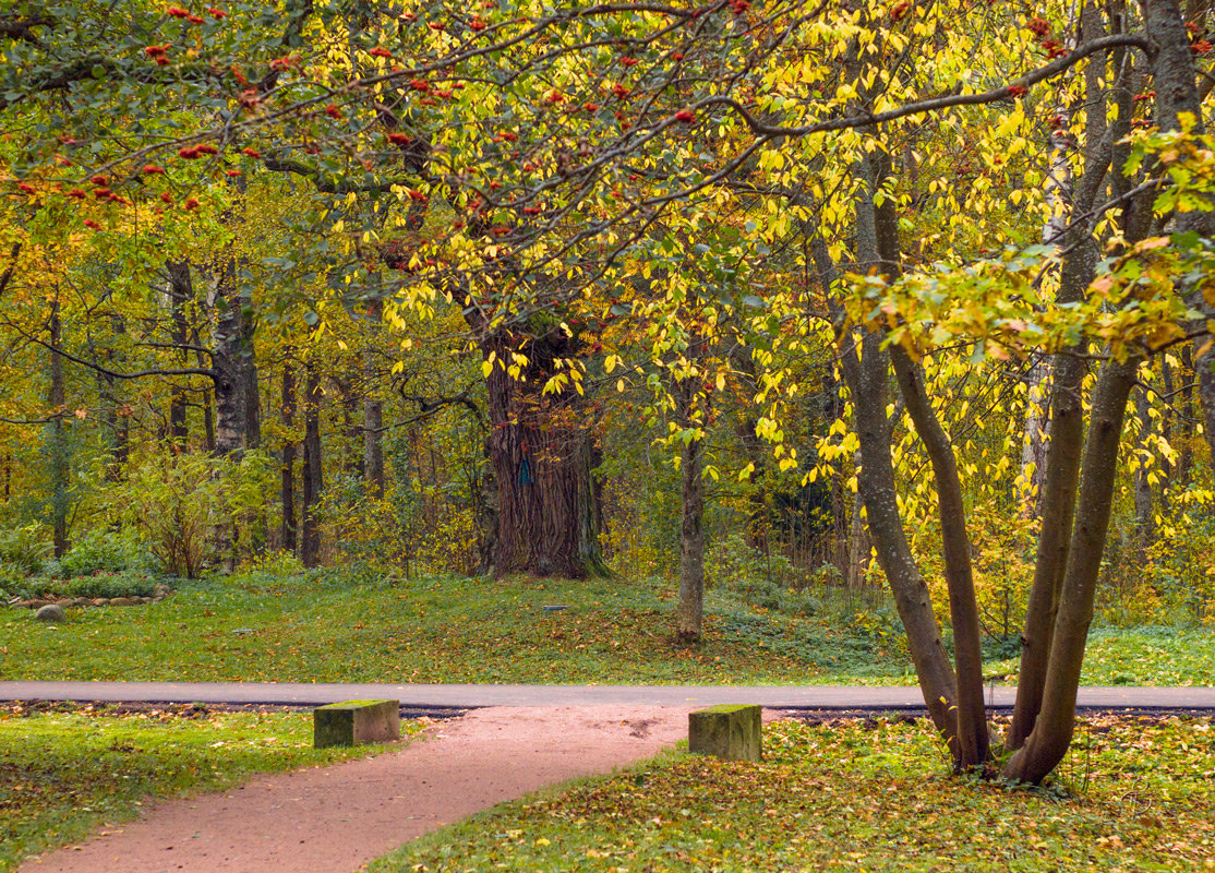 В осеннем парке 3 - Виталий 