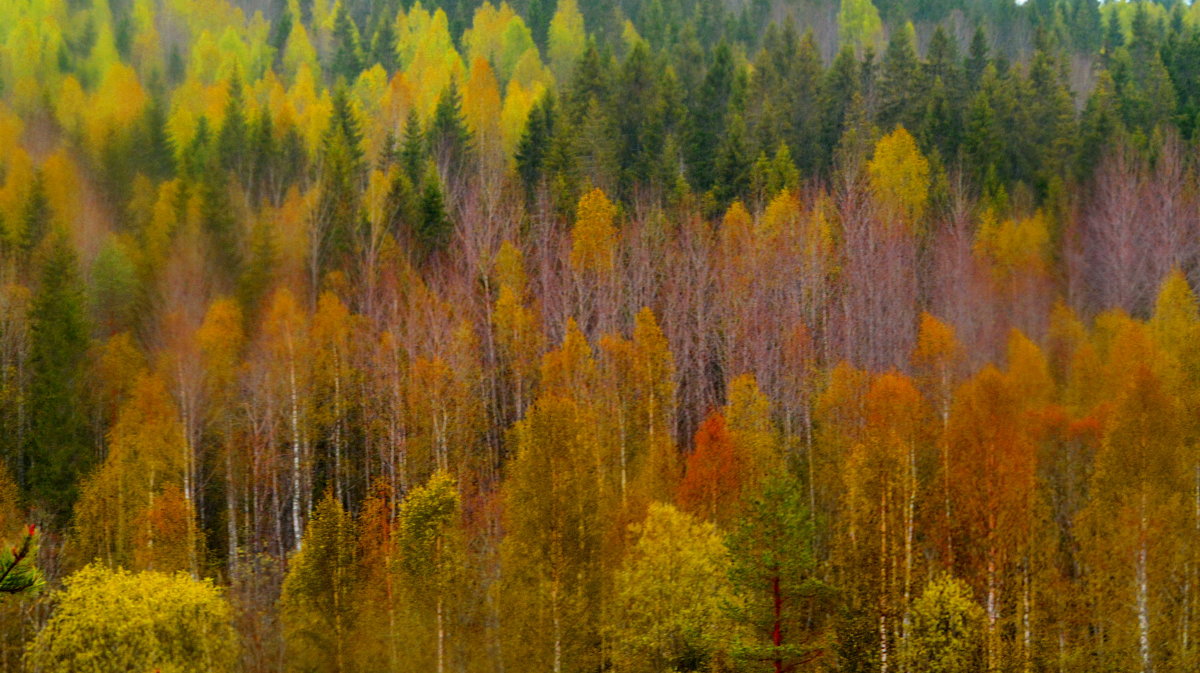 Карелия.Рускеала.Осень. - Анастасия Смирнова