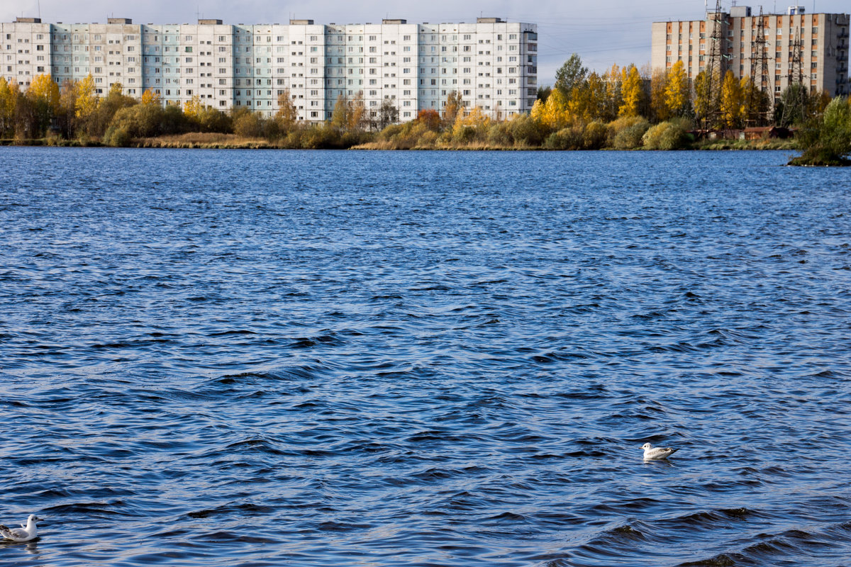 Городской пейзаж - Светлана Ку