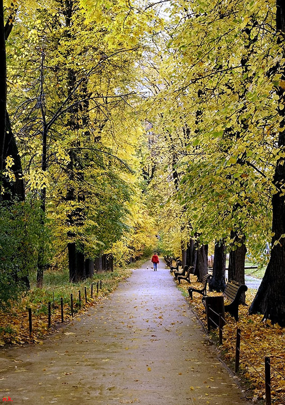 Золотая осень ... - Лариса Корженевская