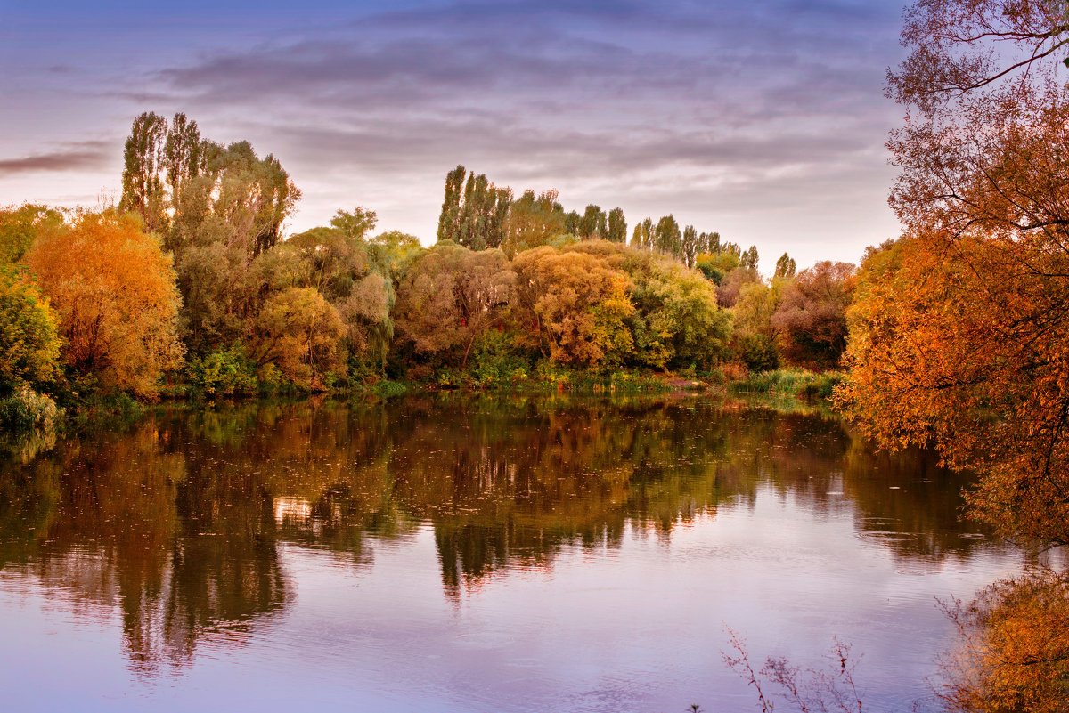 Фото Родного Края