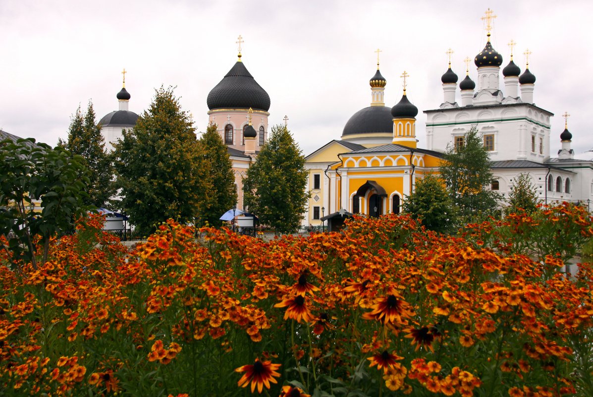 **** - Алексей Дмитриев