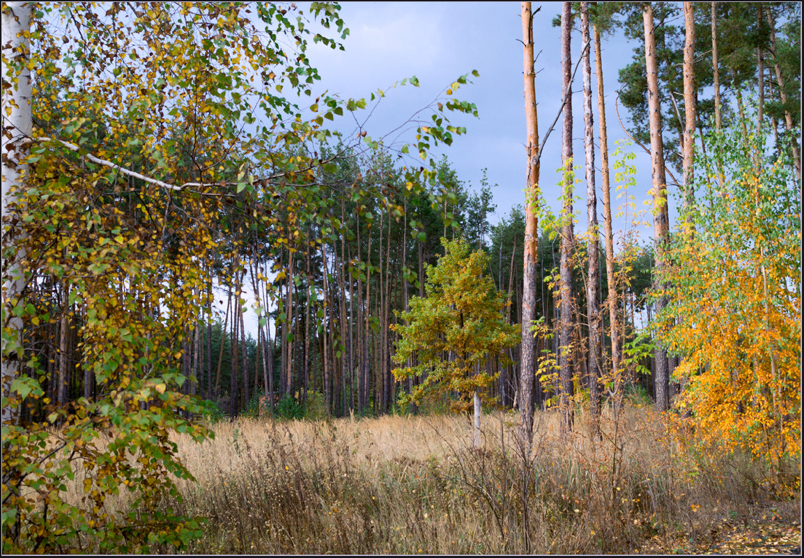 *** - Александр Лихачёв