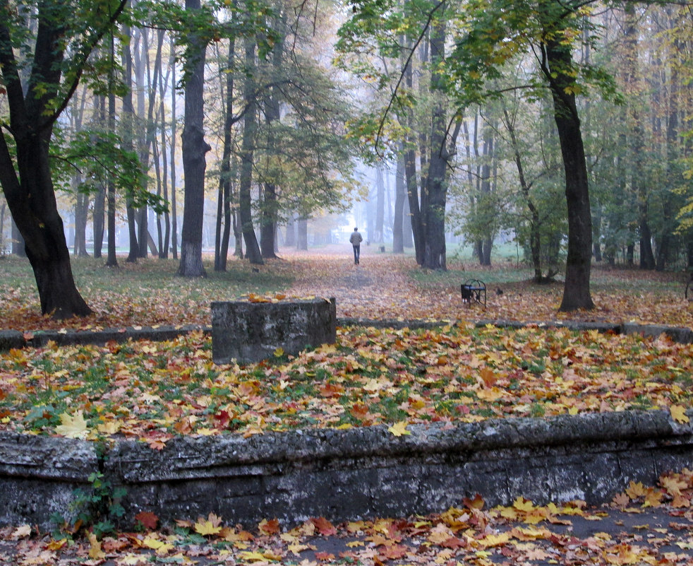 *** - Валентина Береснева