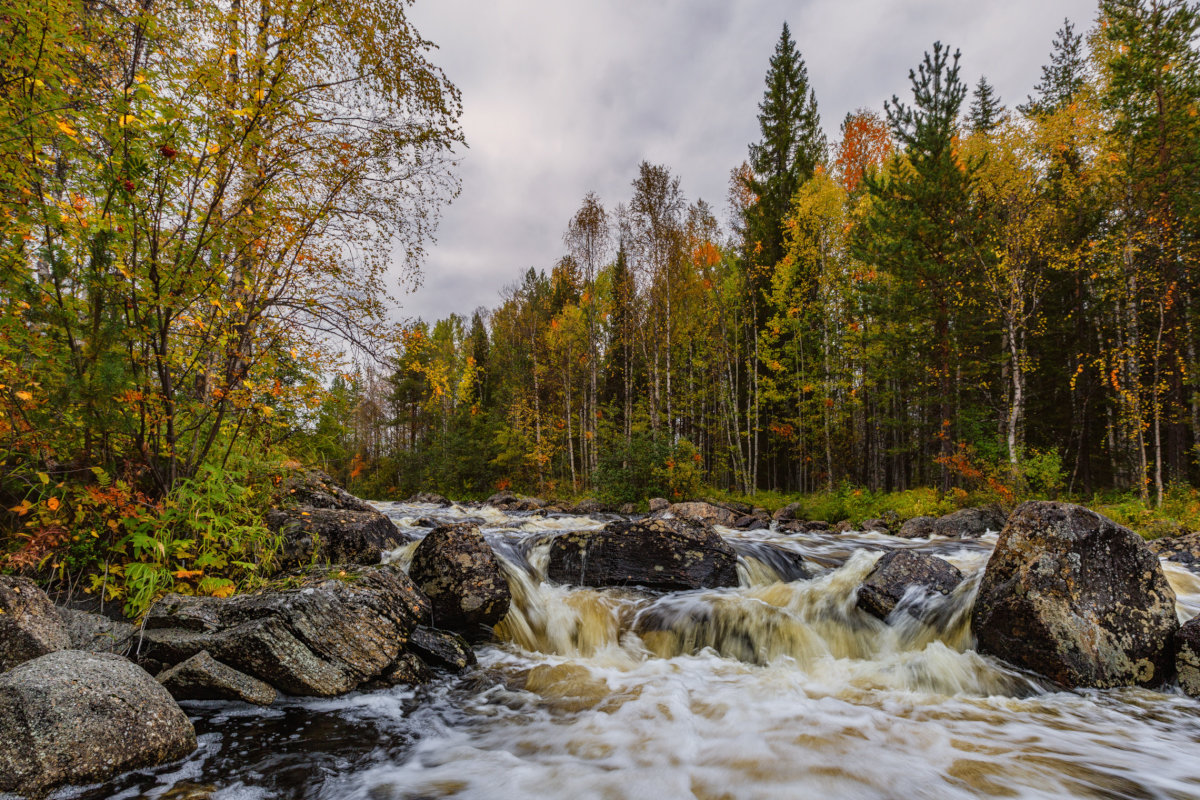 Осенняя река Карелия