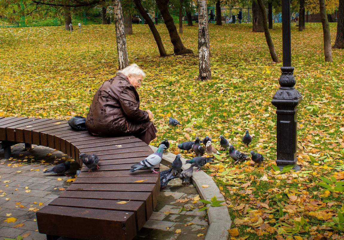 Романс. Продолжение. - Владимир Безбородов