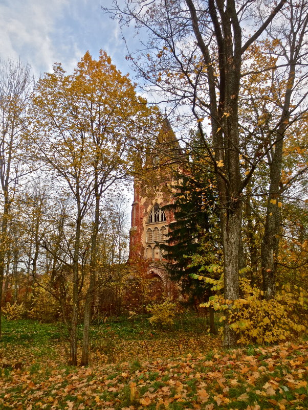 башня Шапель в Царском Селе осенью - Елена 