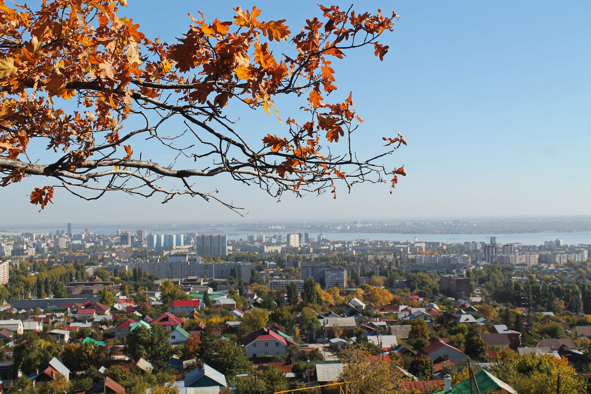 Осень над Саратовом - Лариса Коломиец