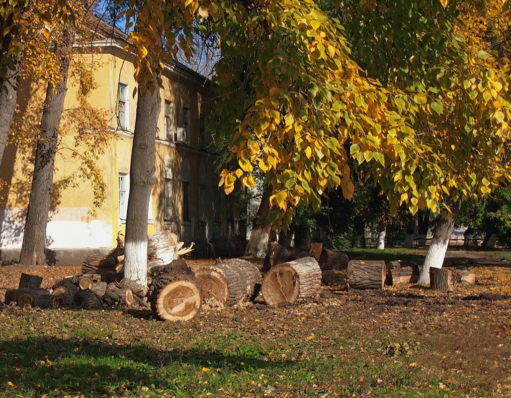 осень в городе - Ирина ***