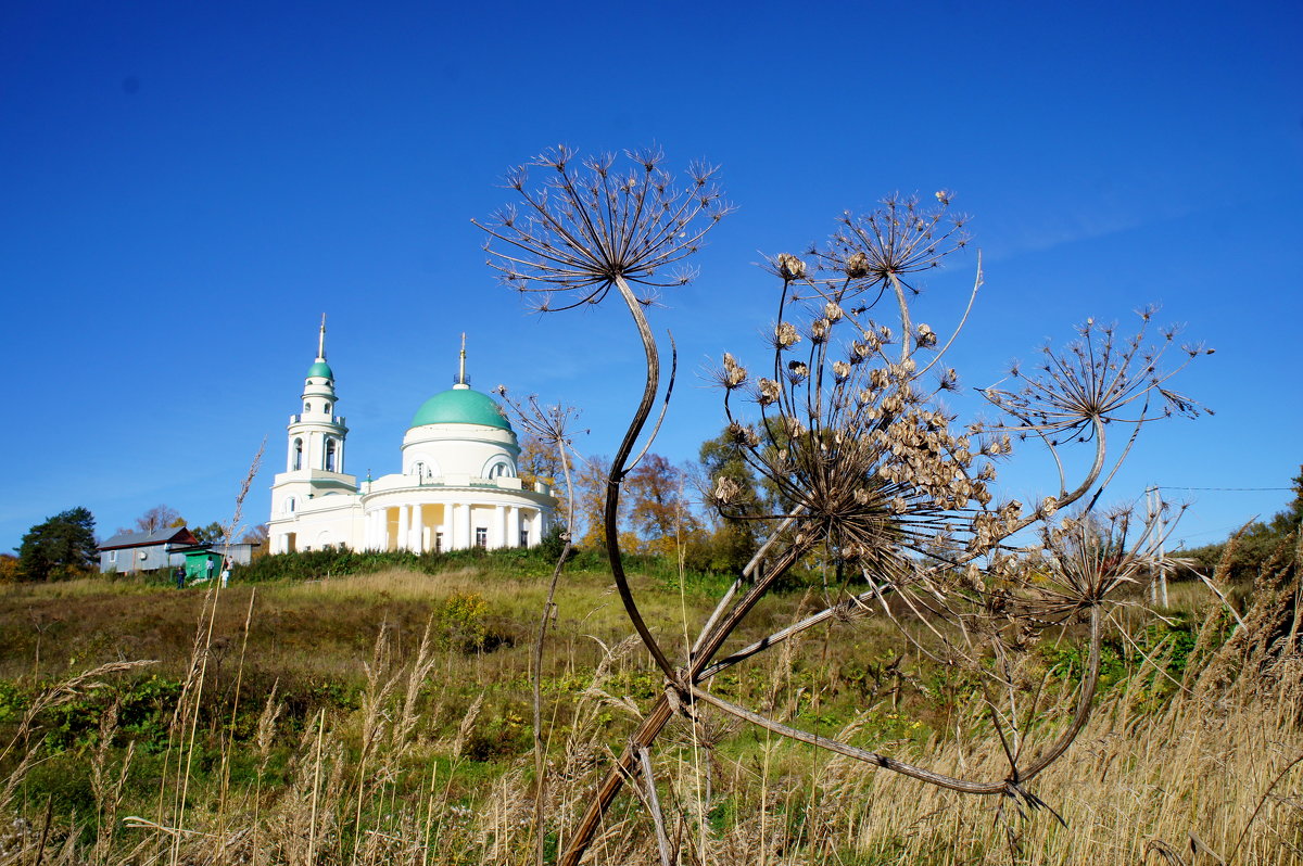 *** - Татьяна Белогубцева