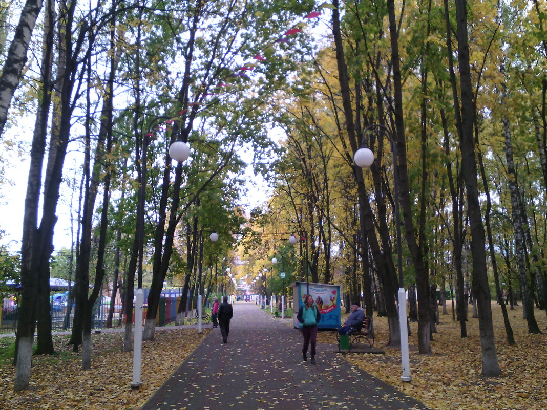 И снова осень в парке городском. - Ольга Кривых