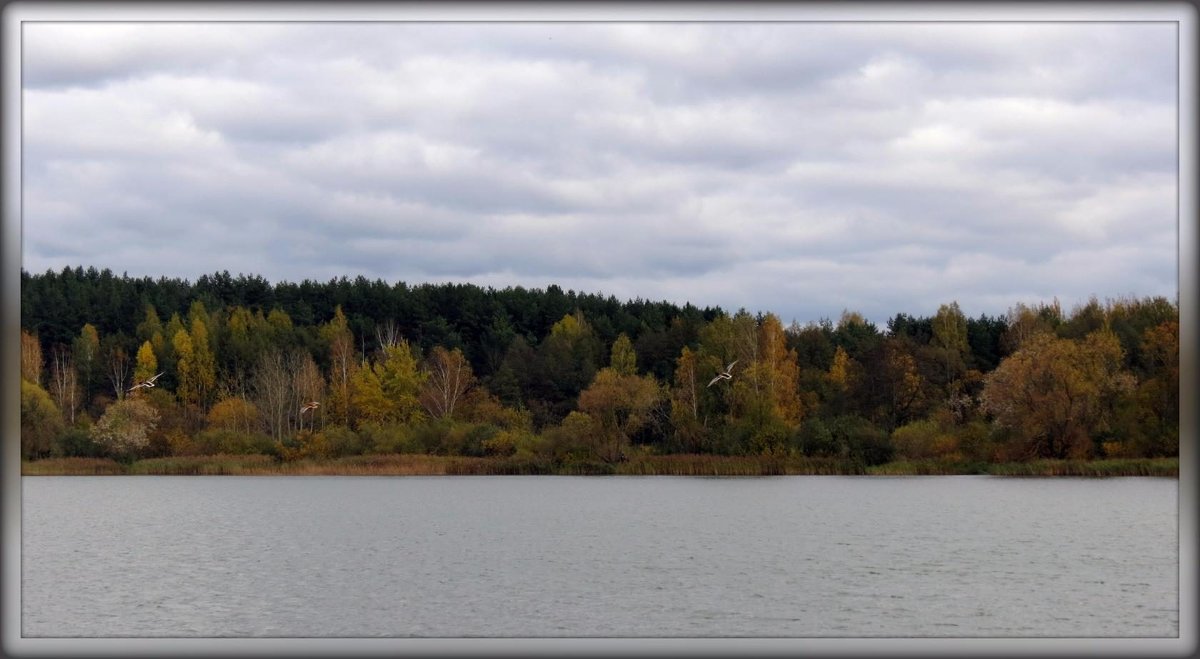 Осень - Михаил Цегалко