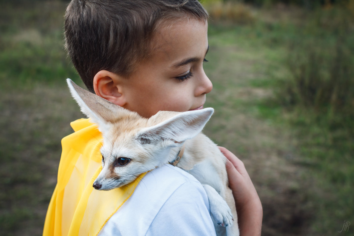 Le petit prince - Александра Реброва