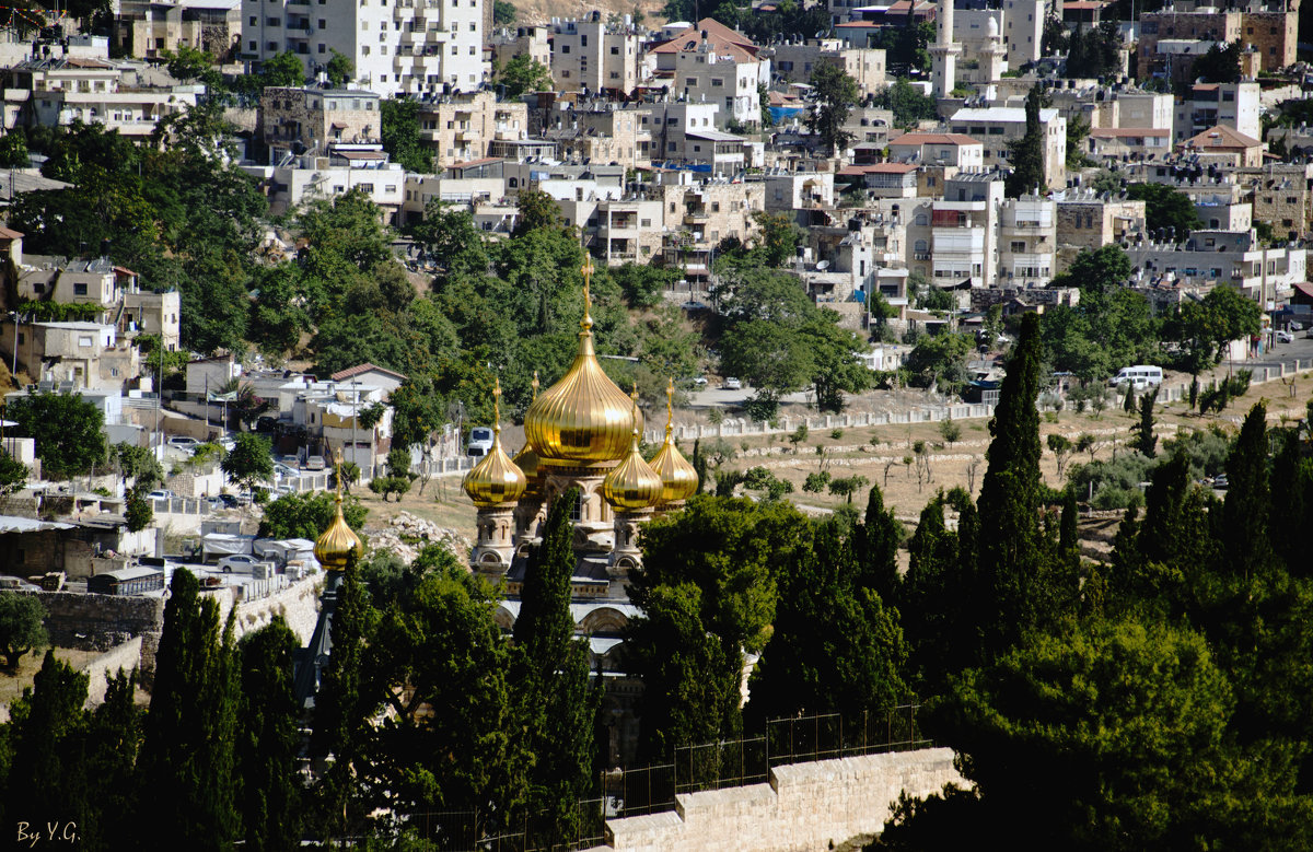 Иерусалим, Храмовая Гора, предгорье - Яков Геллер