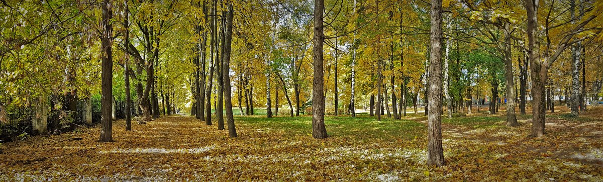 осень в парке "40 ЛЕТ влксм" - alecs tyapin