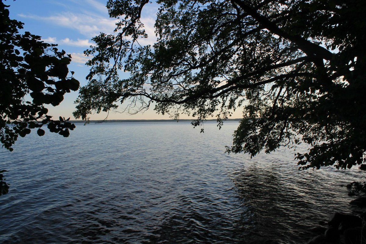 Озеро Отрадное - Evgenia Sharabanova