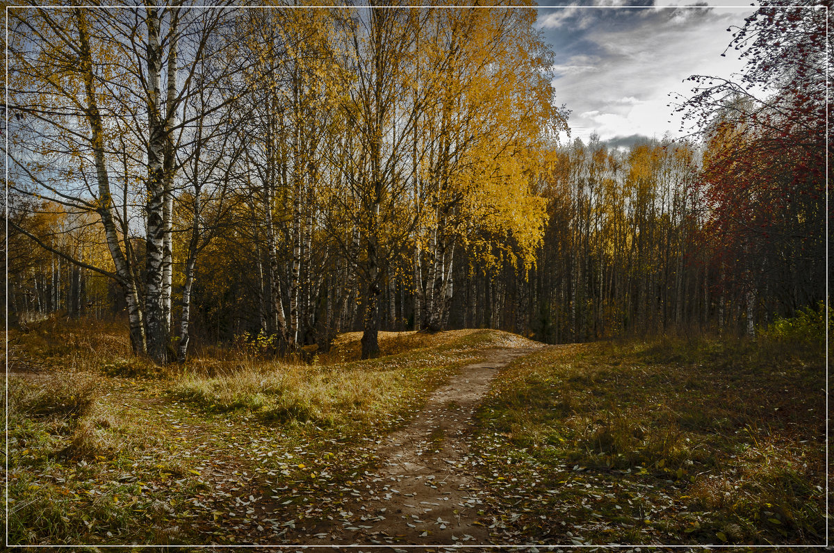 Осень - Владимир Белозеров