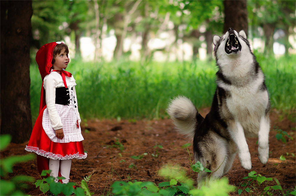 Красная шапочка и серый волк - Юлия Анохина