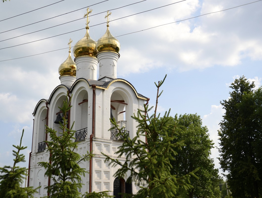 Никольский женский монастырь - Елена Решетникова