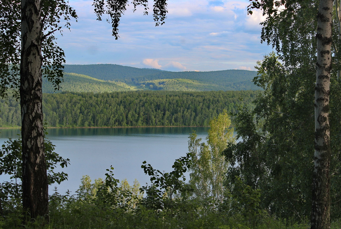 В рамке малахитовых берёз. - Наталья Юрова