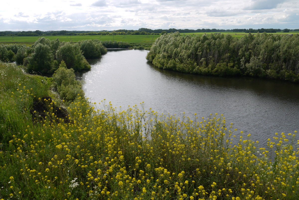 Река Тула - Андрей Гамарник