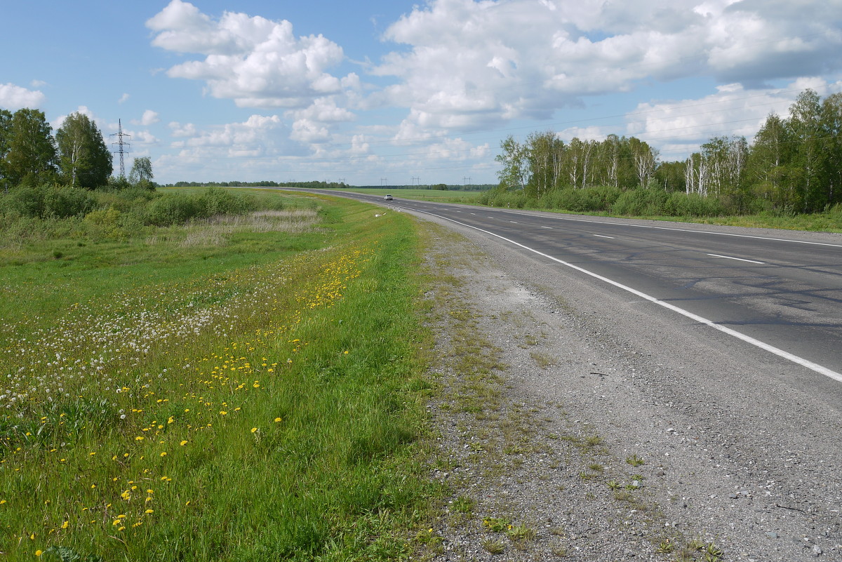 Дорога на Томск - Андрей Гамарник