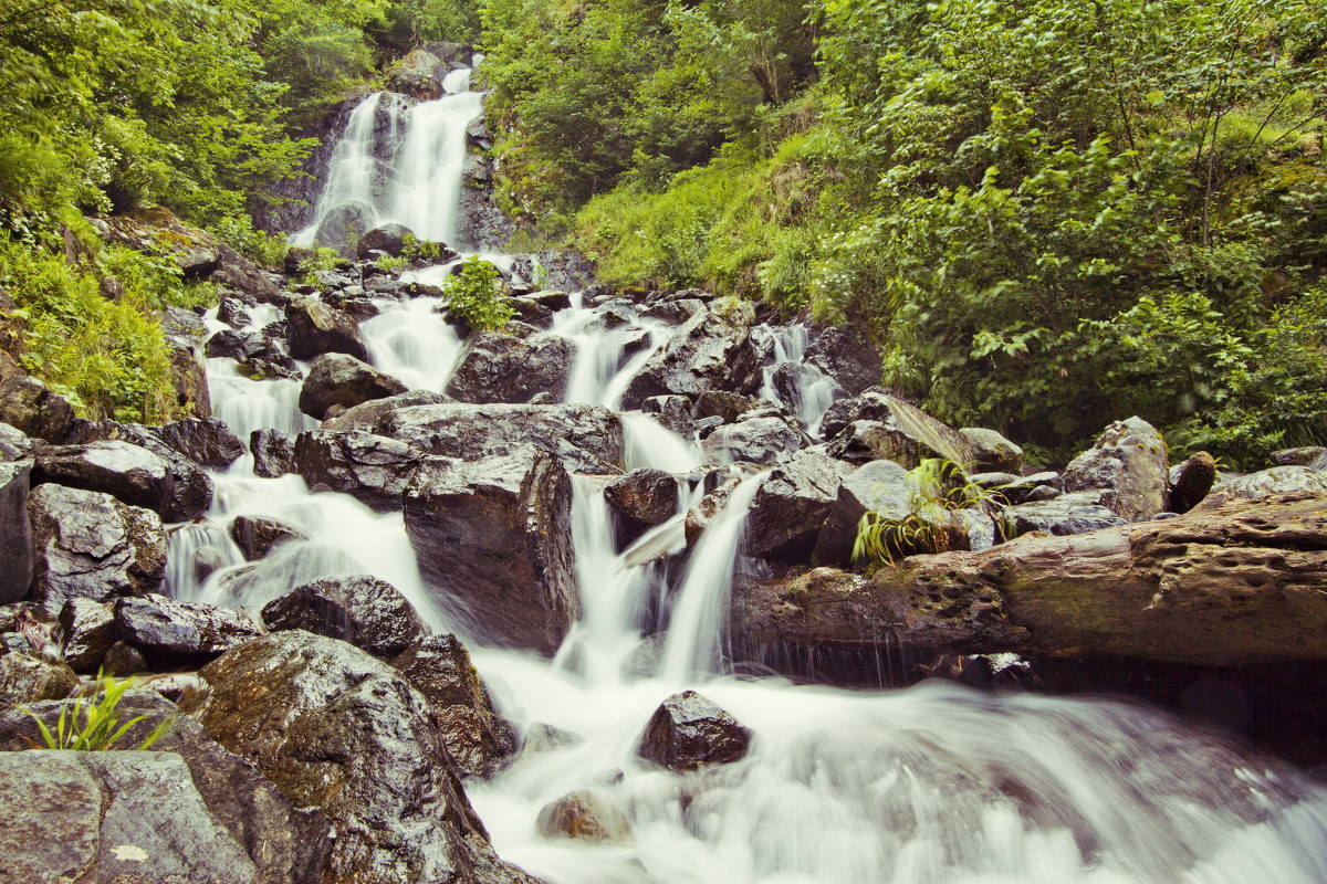 Молочный водопад - Елена Шмелькова