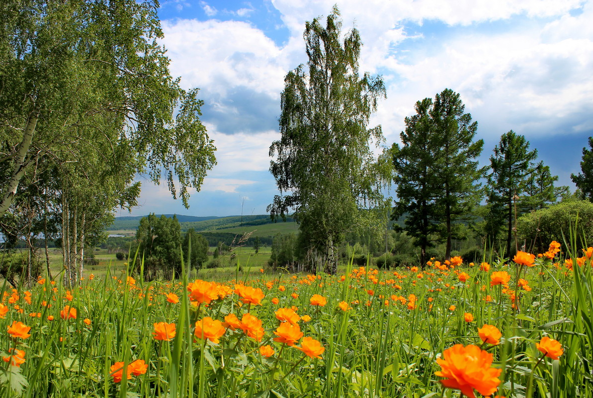 Луга Красноярского края