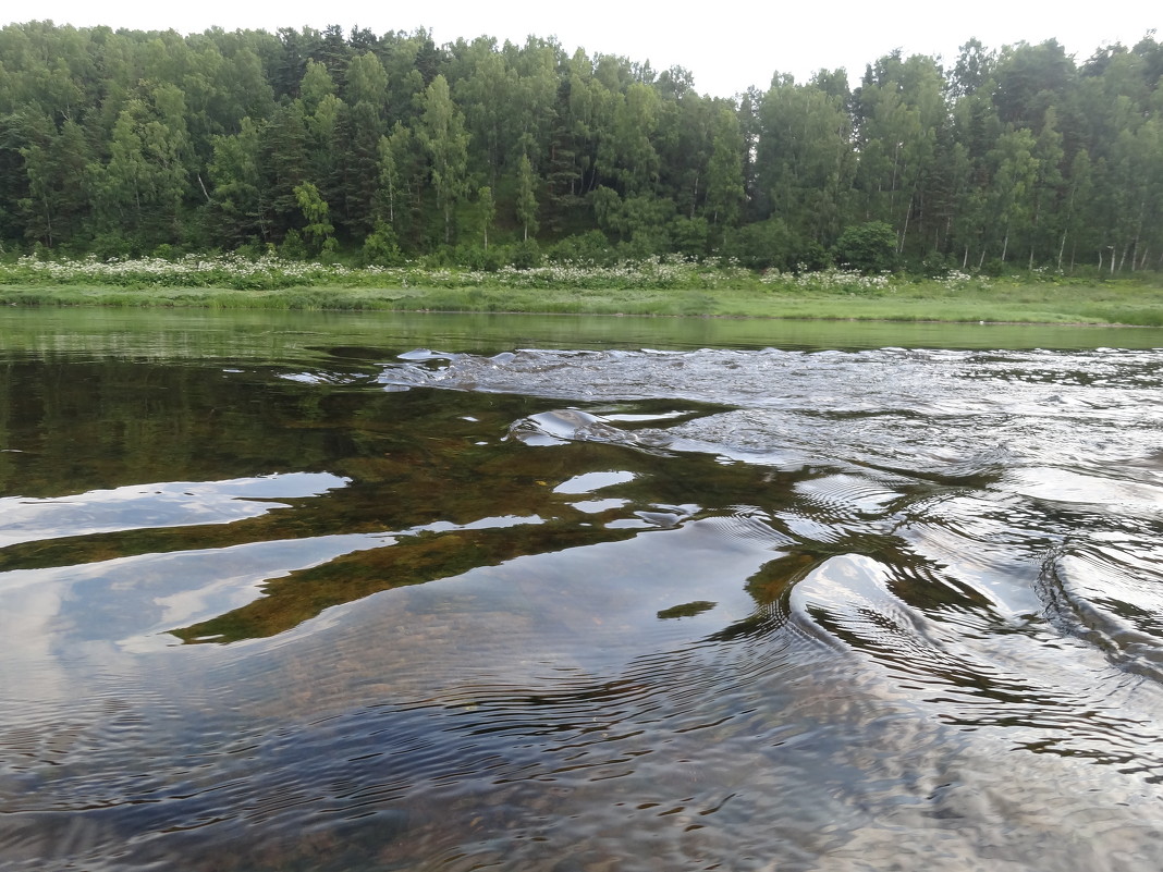 Волжская водичка - Светлана Масюкевич