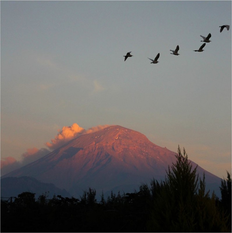 Действующий вулкан Popocatepetl. Мексика - Наталья Портийо