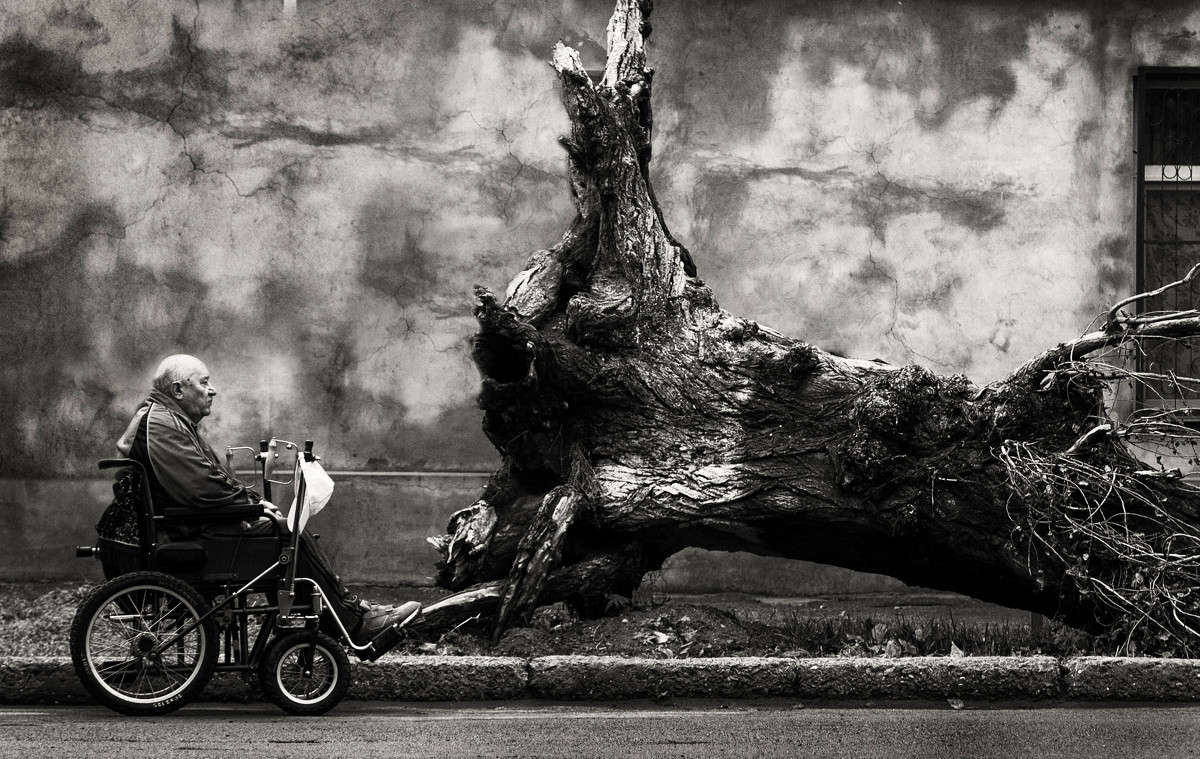 Старик и дерево - Nataliya Kostromina