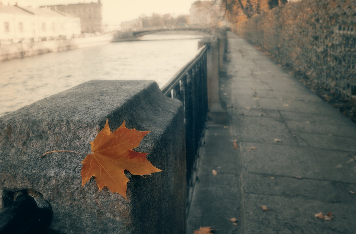 Осенний лист кленовый - Михаил Александров