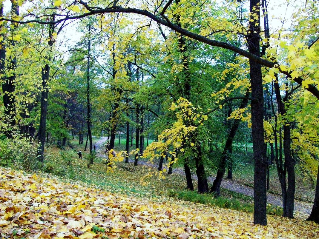 Осень в Петергофе - alemigun 