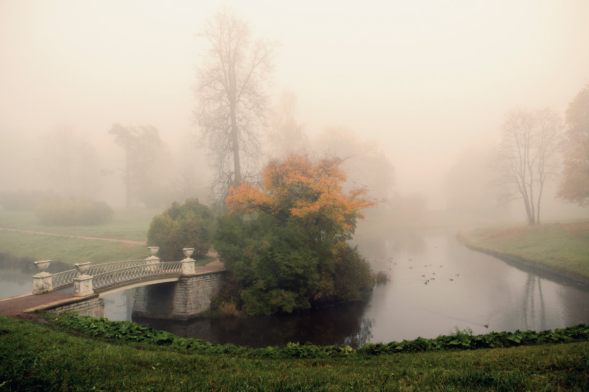Парк в тумане - Владимир Миронов