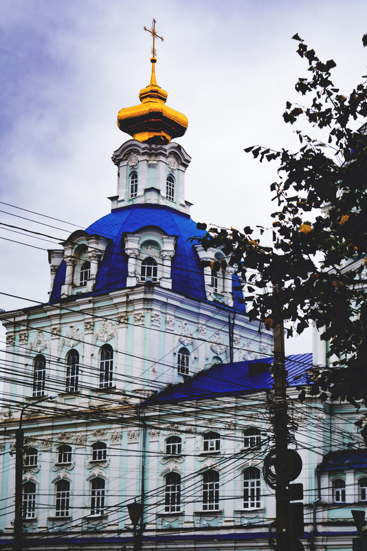сергиево-казанский кафедральный собор в курске - Анна 