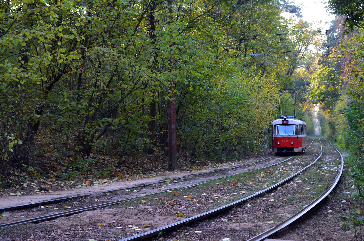 Трамвай из Пущи - Ростислав 