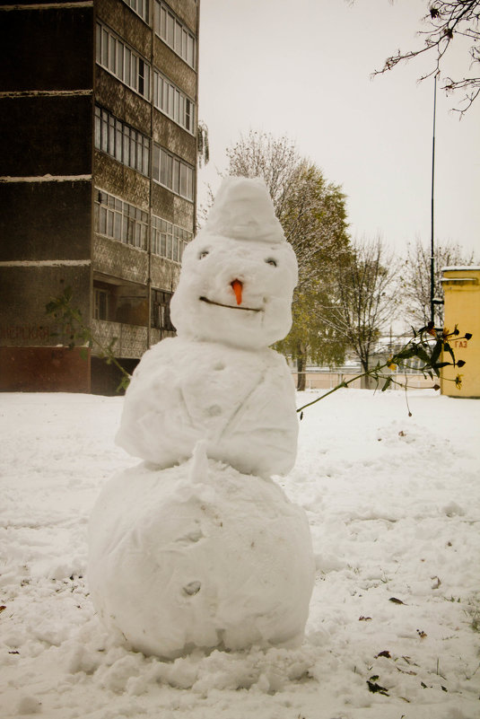 первый снег - Владимир Зырянов