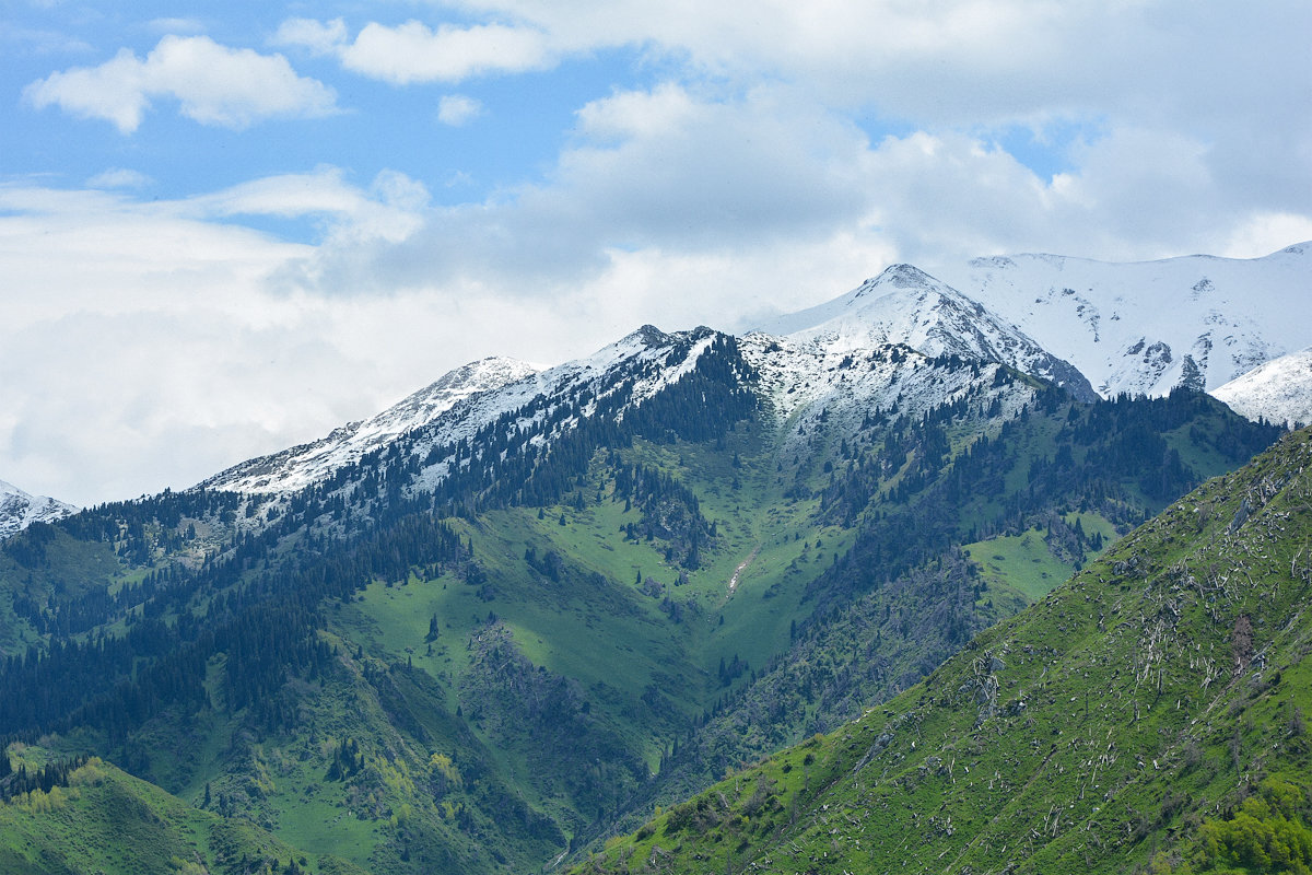 снег и трава вместе в горах - Горный турист Иван Иванов