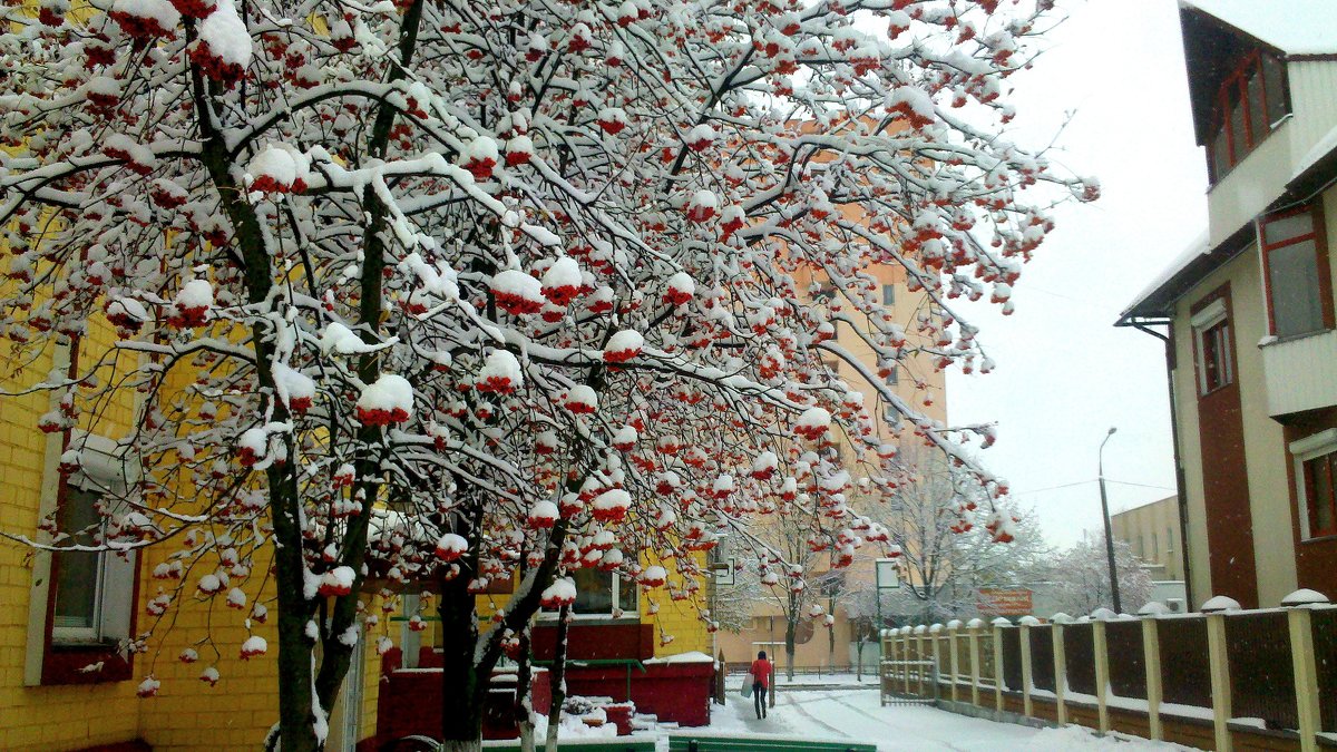сегодня выпал первый снег - Александр Прокудин