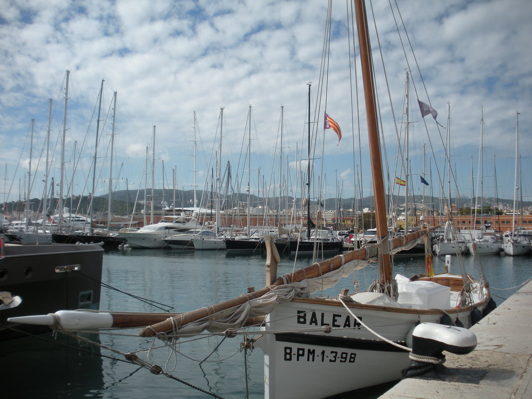 В  порту  Palma de Mallorca ( Майорка ) - Виталий Селиванов 